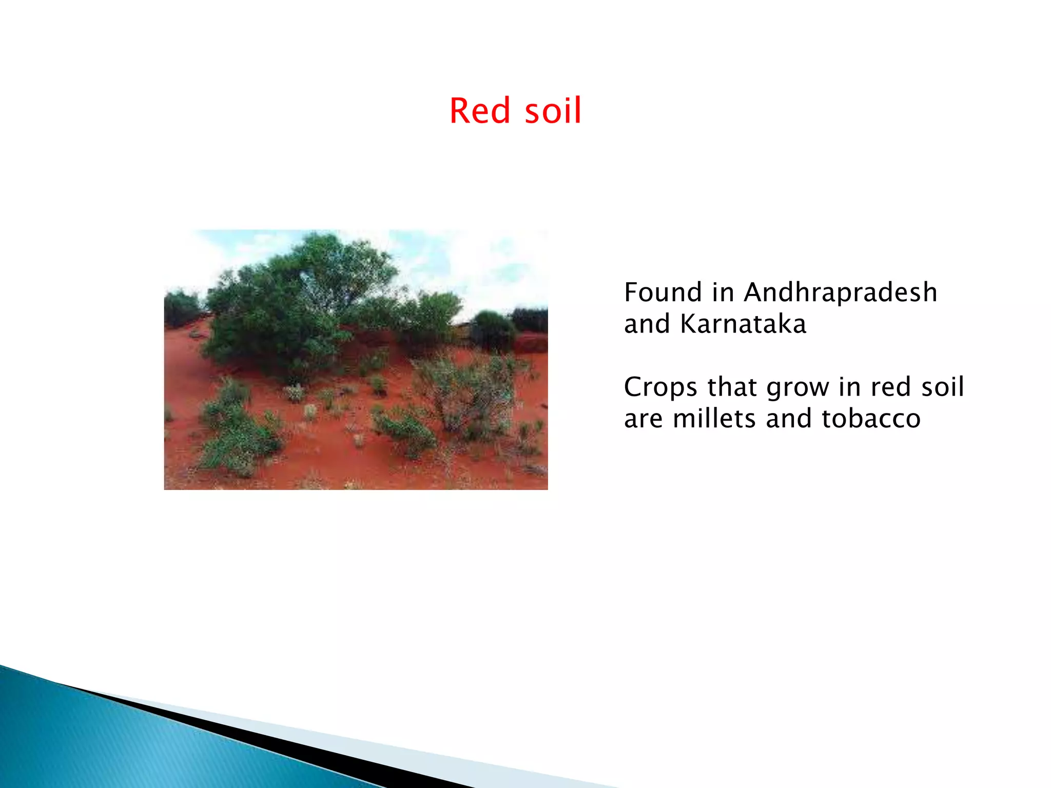 Red soil
Found in Andhrapradesh
and Karnataka
Crops that grow in red soil
are millets and tobacco
 