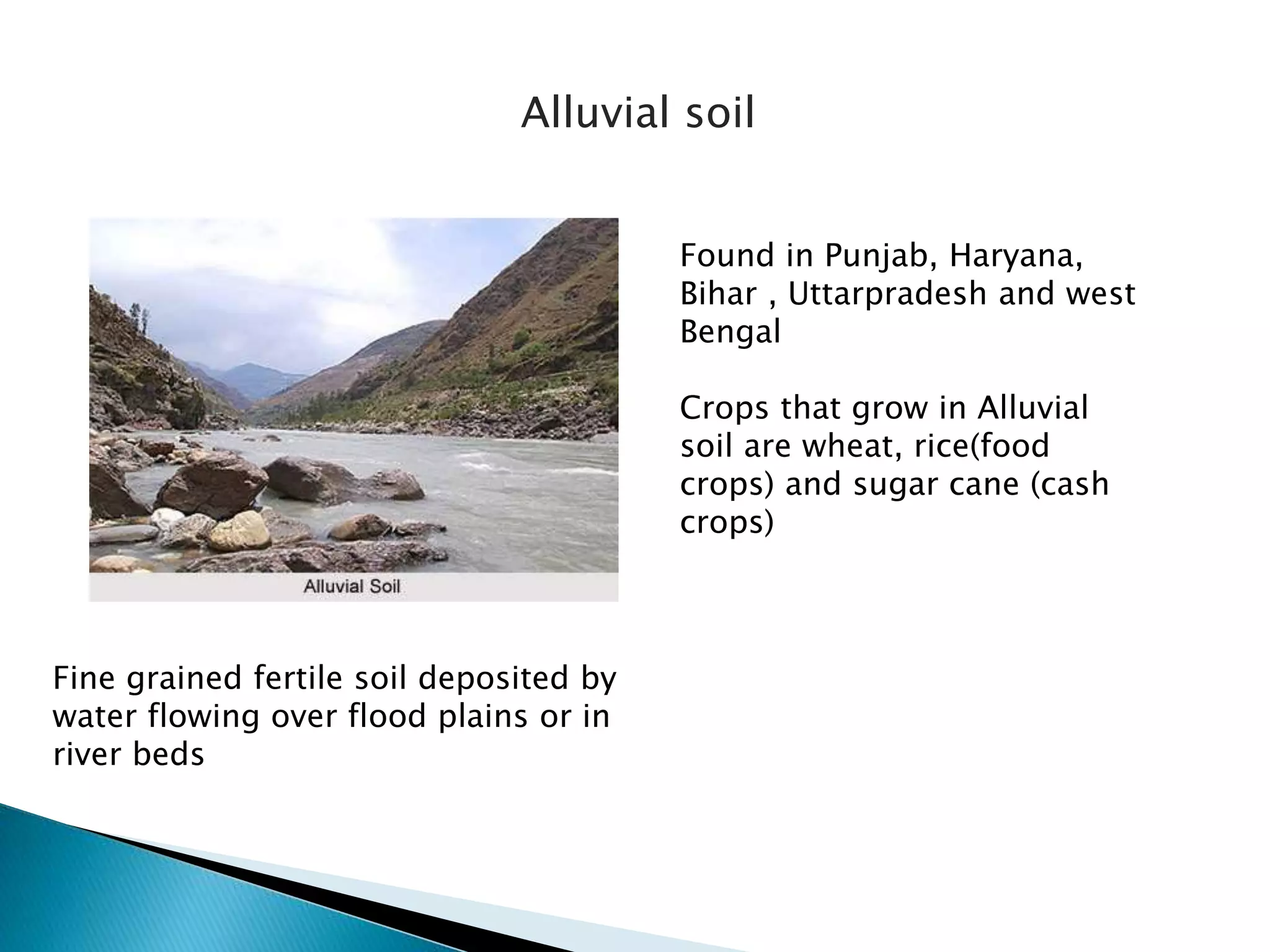 Alluvial soil
Found in Punjab, Haryana,
Bihar , Uttarpradesh and west
Bengal
Crops that grow in Alluvial
soil are wheat, rice(food
crops) and sugar cane (cash
crops)
Fine grained fertile soil deposited by
water flowing over flood plains or in
river beds
 