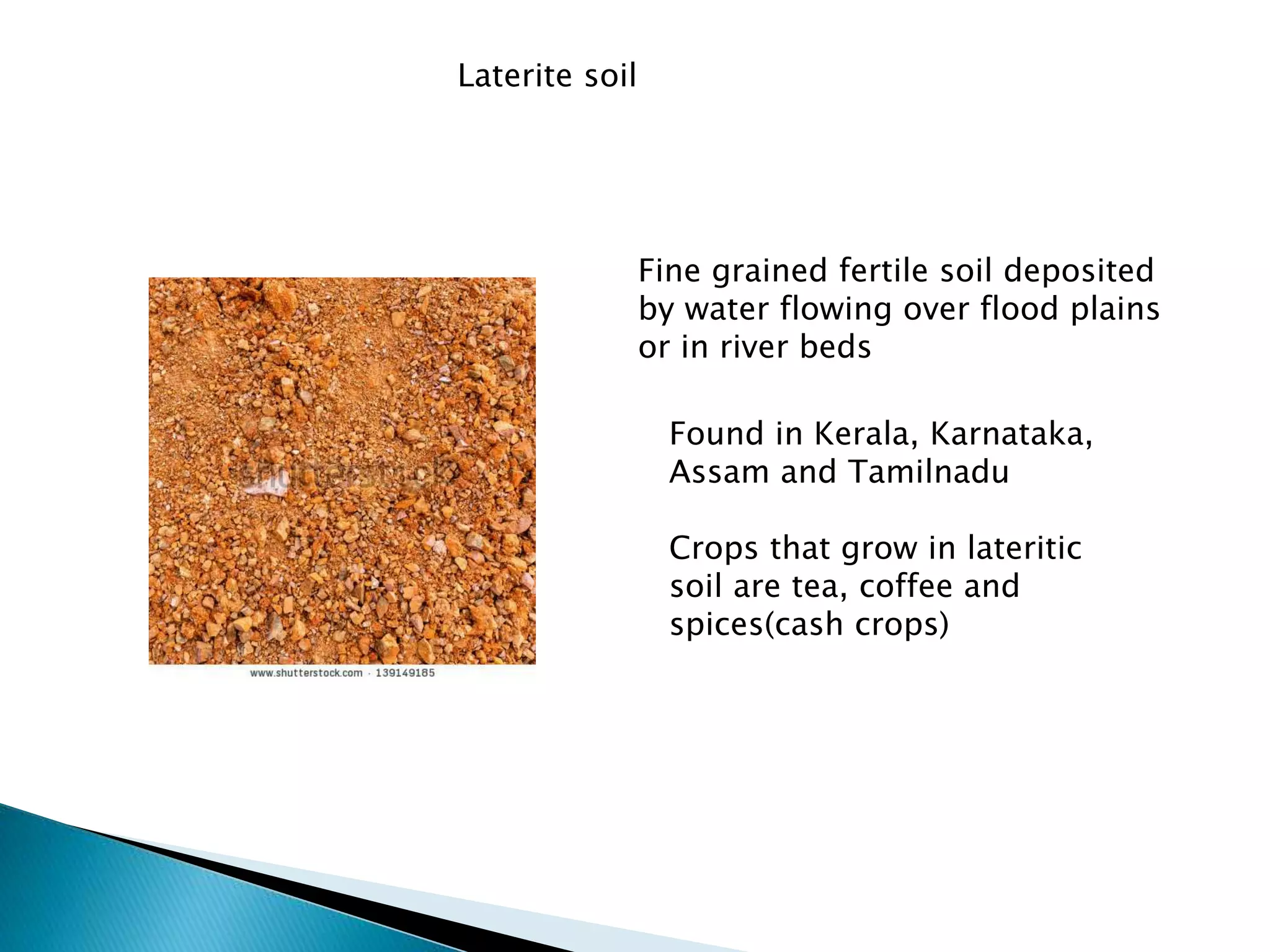Laterite soil
Found in Kerala, Karnataka,
Assam and Tamilnadu
Crops that grow in lateritic
soil are tea, coffee and
spices(cash crops)
Fine grained fertile soil deposited
by water flowing over flood plains
or in river beds
 