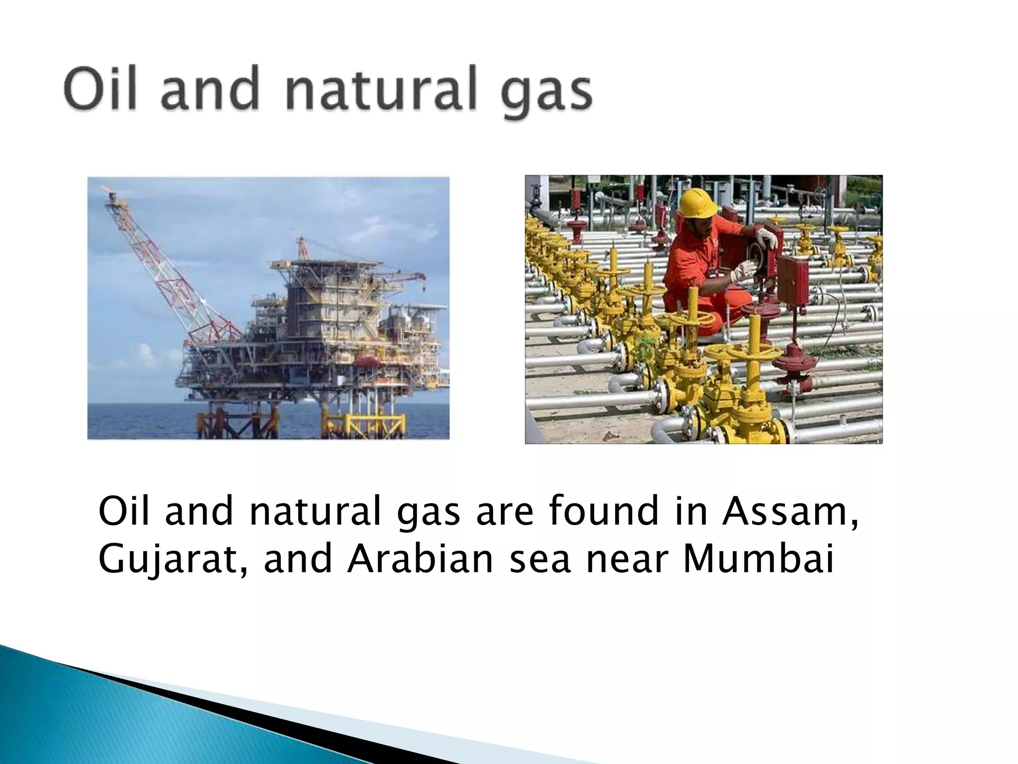 Oil and natural gas are found in Assam,
Gujarat, and Arabian sea near Mumbai
 