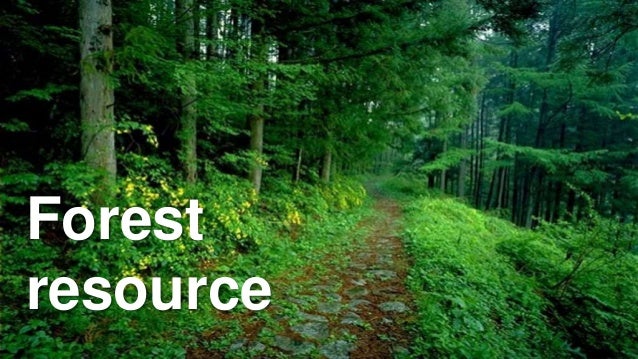 What Is The Value Of Water As A Natural Resources What Is The Value Of Water As A Natural Resources