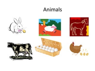 Animals
 