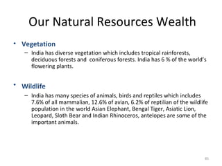 Our Natural Resources Wealth
• Vegetation
– India has diverse vegetation which includes tropical rainforests,
deciduous forests and coniferous forests. India has 6 % of the world’s
flowering plants.
• Wildlife
– India has many species of animals, birds and reptiles which includes
7.6% of all mammalian, 12.6% of avian, 6.2% of reptilian of the wildlife
population in the world Asian Elephant, Bengal Tiger, Asiatic Lion,
Leopard, Sloth Bear and Indian Rhinoceros, antelopes are some of the
important animals.
85
 