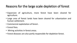 Reasons for the large scale depletion of forest
• Expansion of agriculture, more forest have been cleared for
agriculture.
• Large area of forest lands have been cleared for urbanization and
human settlement.
• Commercial exploitation of forest .
• Forest fires.
• Mining activities in forest areas.
• Forest diseases are also partly responsible for depletion forest.
 