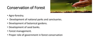 Conservation of Forest
• Agro-forestry.
• Development of national parks and sanctuaries.
• Development of botanical gardens.
• Development of seed banks.
• Forest management.
• Proper role of government in forest conservation
 