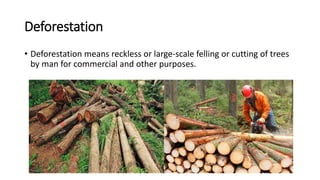 Deforestation
• Deforestation means reckless or large-scale felling or cutting of trees
by man for commercial and other purposes.
 
