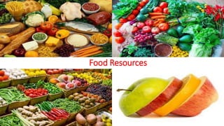 Food Resources
 