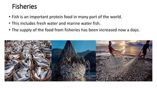 Fisheries
• Fish is an important protein food in many part of the world.
• This includes fresh water and marine water fish.
• The supply of the food from fisheries has been increased now a days.
 