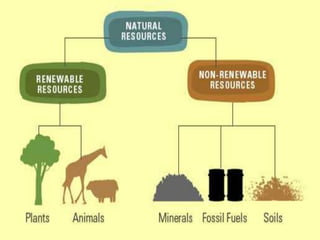 Natural Resources | PPTX