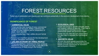 FOREST RESOURCES
SIGNIFICANCE OF FOREST
1. COMMERCIAL VALUE
• Forest are the main source of many commercial
products such as wood, timber, pulpwood etc.
Timber is a raw material use for preparation of
paper, rayon and film.
• Forest provide food, fiber, edible oils and herbal
plants.
• Forest is an important source for the development
of dams, recreation and mining.
2. LIFE AND ECONOMY OF TRIBAL PEOPLE
• Forest provide food, medicine and other products
needed for tribal people and play a vital role in life
and economy of tribes living in the forests.
4
Forest vary in composition and diversity and can contribute substantially to the economic development of any country.
3. ECOLOGICAL USES
• Forest are habitat to all wild animals, plants
and support millions of species. They help in
reducing global warming caused by
greenhouse gases and produce oxygen.
• Forest not only help the soil conservation
but also help to regulate the hydrological
cycle.
4. AESTHETIC VALUE
• All over the world people appreciate the
beauty and tranquility of the forest because
forests provide opportunity for recreation
and ecosystem research.
 