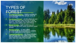 TYPES OF
FOREST
7
1. Coniferous Forests – mainly consists of
cone-bearing trees like spruce, pine, fir
and hemlock.
2. Deciduous Forest – are broadleaved and
are shed between late summer to early
autumn. The leaves are usually green bit
later acquires yellow, red, and orange.
3. Mixed forests – both Coniferous and
Deciduous are both types constitute mixed
forests.
4. Mediterranean – or also called
scrublands as its temperature is suitable
for short oaks and pines to grow.
5. Tropical Rainforest – are forest situated
with hot thus they are called tropic and
due to continuous rainfall throughout the
year, they are called Rainforests.
 