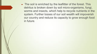  The soil is enriched by the leaflitter of the forest. This
detritus is broken down by soil micro-organisms, fungi,
worms and insects, which help to recycle nutrients in the
system. Further losses of our soil wealth will impoverish
our country and reduce its capacity to grow enough food
in future.
 