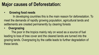Major causes of Deforestation:
• Growing food needs
In developing countries this is the main reason for deforestation. To
meet the demands of rapidly growing population, agricultural lands and
settlements are created permanently by clearing forests
• Overgrazing
The poor in the tropics mainly rely on wood as a source of fuel
leading to loss of tree cover and the cleared lands are turned into the
grazing lands. Overgrazing by the cattle leads to further degradation of
these lands.
 