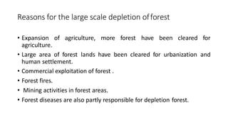 Reasons for the large scale depletion offorest
• Expansion of agriculture, more forest have been cleared for
agriculture.
• Large area of forest lands have been cleared for urbanization and
human settlement.
• Commercial exploitation of forest .
• Forest fires.
• Mining activities in forest areas.
• Forest diseases are also partly responsible for depletion forest.
 
