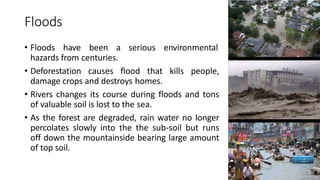 Floods
• Floods have been a serious environmental
hazards from centuries.
• Deforestation causes flood that kills people,
damage crops and destroys homes.
• Rivers changes its course during floods and tons
of valuable soil is lost to the sea.
• As the forest are degraded, rain water no longer
percolates slowly into the the sub-soil but runs
off down the mountainside bearing large amount
of top soil.
 