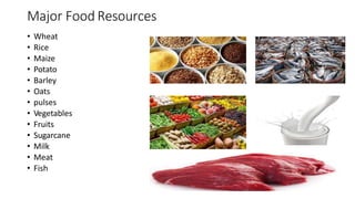 Major Food Resources
• Wheat
• Rice
• Maize
• Potato
• Barley
• Oats
• pulses
• Vegetables
• Fruits
• Sugarcane
• Milk
• Meat
• Fish
 