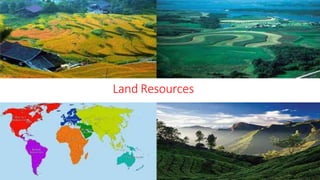 Land Resources
 