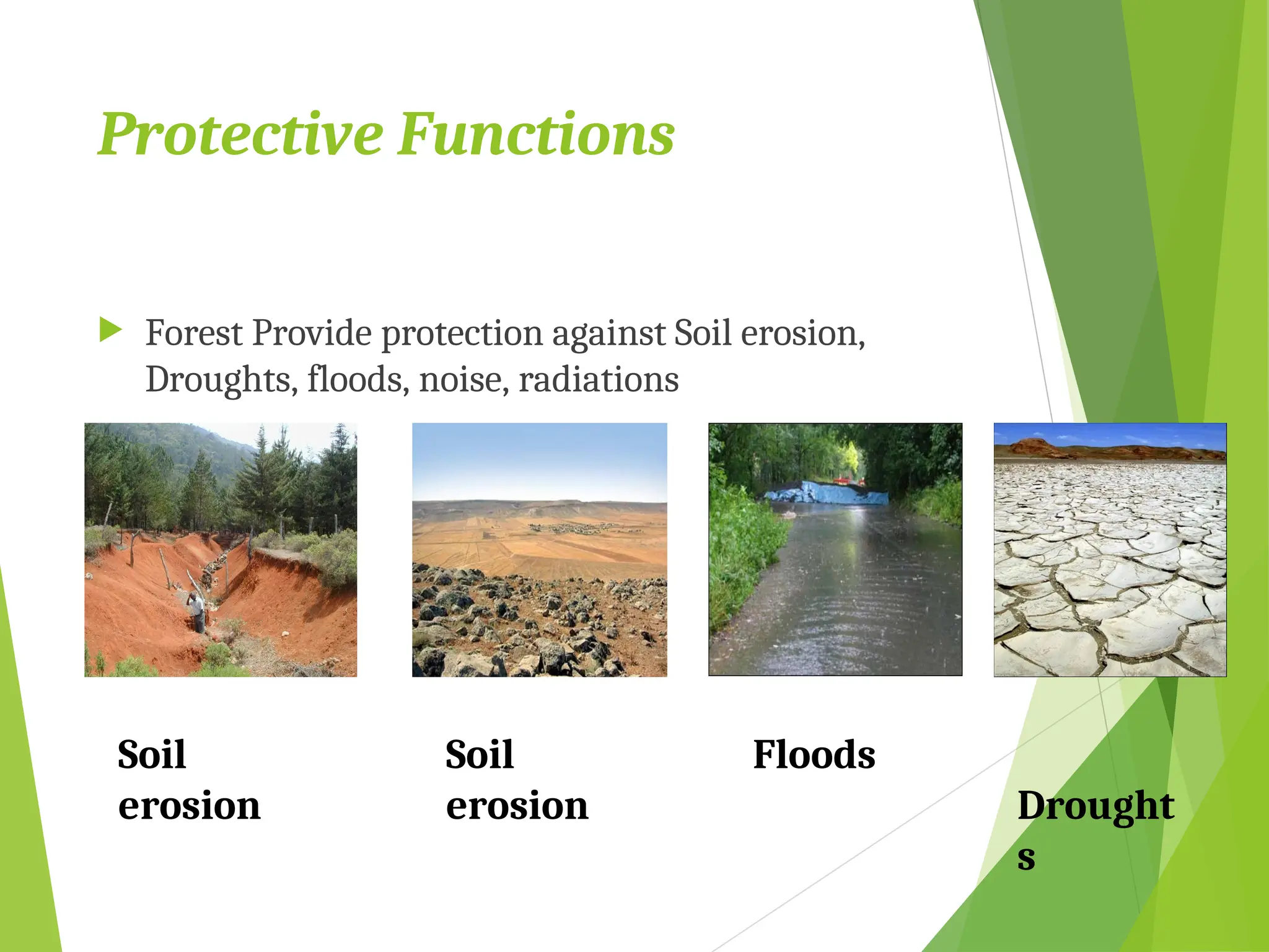 Protective Functions
 Forest Provide protection against Soil erosion,
Droughts, floods, noise, radiations
Soil
erosion
Floods
Soil
erosion Drought
s
 
