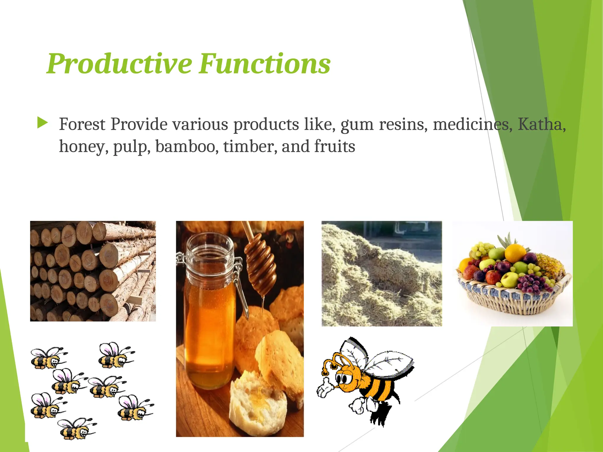 Productive Functions
 Forest Provide various products like, gum resins, medicines, Katha,
honey, pulp, bamboo, timber, and fruits
 