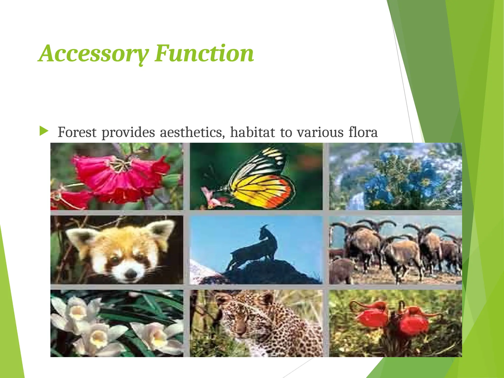 Accessory Function
 Forest provides aesthetics, habitat to various flora
and fauna besides that it also has an recreational
value.
 