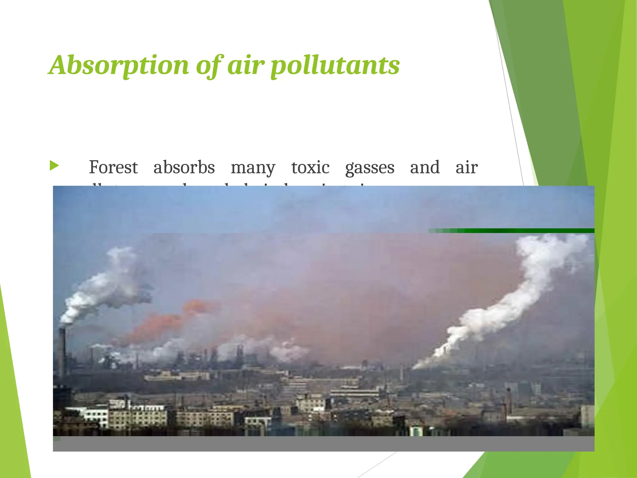 Absorption of air pollutants
 Forest absorbs many toxic gasses and air
pollutants and can help in keeping air pure.
 
