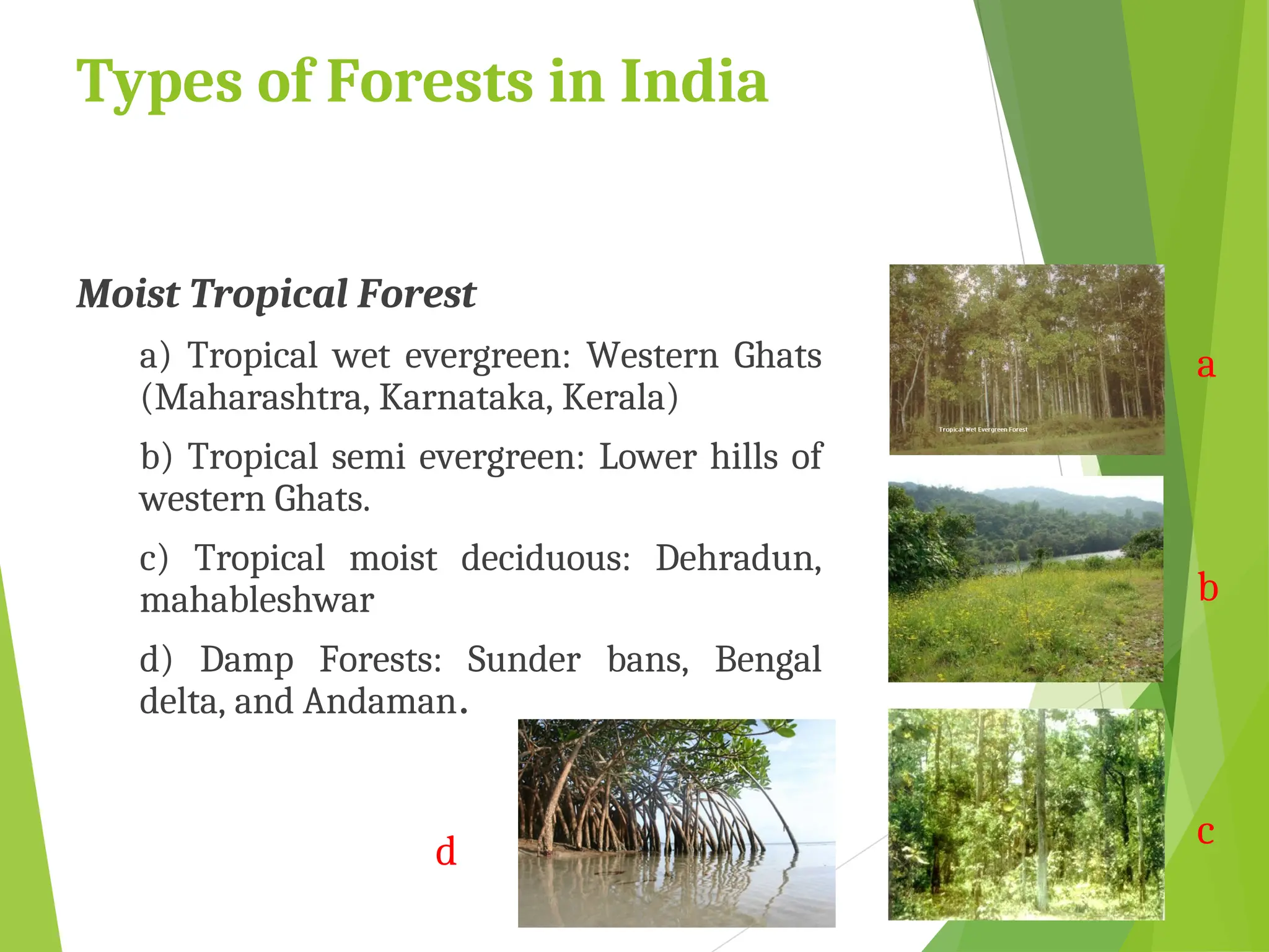Types of Forests in India
Moist Tropical Forest
a) Tropical wet evergreen: Western Ghats
(Maharashtra, Karnataka, Kerala)
b) Tropical semi evergreen: Lower hills of
western Ghats.
c) Tropical moist deciduous: Dehradun,
mahableshwar
d) Damp Forests: Sunder bans, Bengal
delta, and Andaman.
a
b
d
c
 