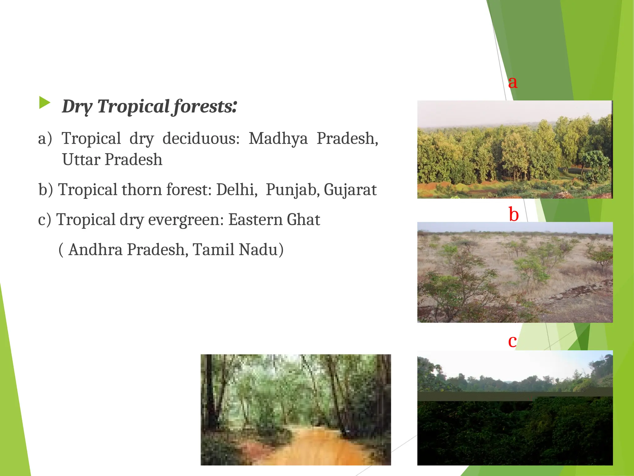  Dry Tropical forests:
a) Tropical dry deciduous: Madhya Pradesh,
Uttar Pradesh
b) Tropical thorn forest: Delhi, Punjab, Gujarat
c) Tropical dry evergreen: Eastern Ghat
( Andhra Pradesh, Tamil Nadu)
a
b
c
 