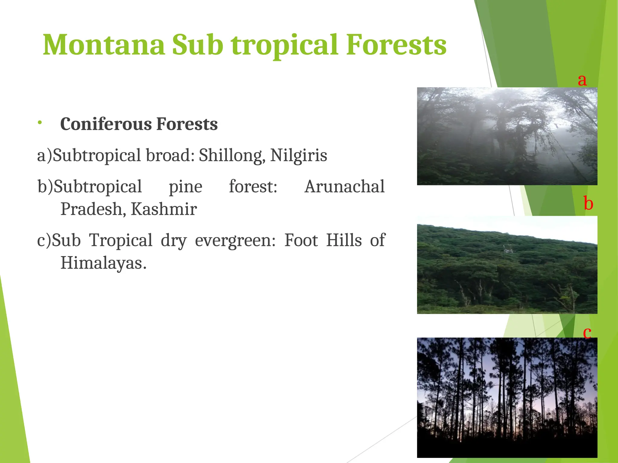 Montana Sub tropical Forests
• Coniferous Forests
a)Subtropical broad: Shillong, Nilgiris
b)Subtropical pine forest: Arunachal
Pradesh, Kashmir
c)Sub Tropical dry evergreen: Foot Hills of
Himalayas.
a
b
c
 