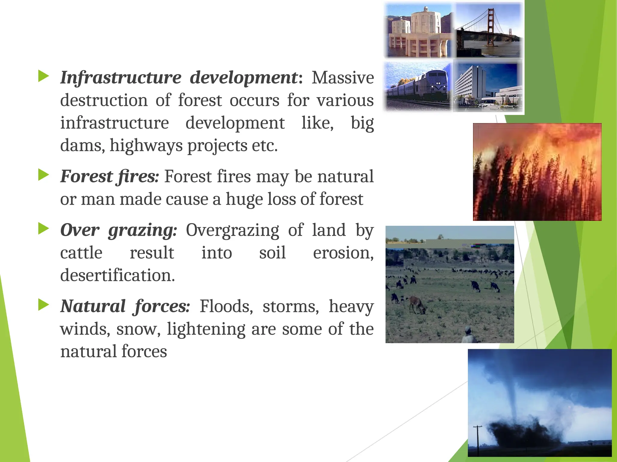  Infrastructure development: Massive
destruction of forest occurs for various
infrastructure development like, big
dams, highways projects etc.
 Forest fires: Forest fires may be natural
or man made cause a huge loss of forest
 Over grazing: Overgrazing of land by
cattle result into soil erosion,
desertification.
 Natural forces: Floods, storms, heavy
winds, snow, lightening are some of the
natural forces
 
