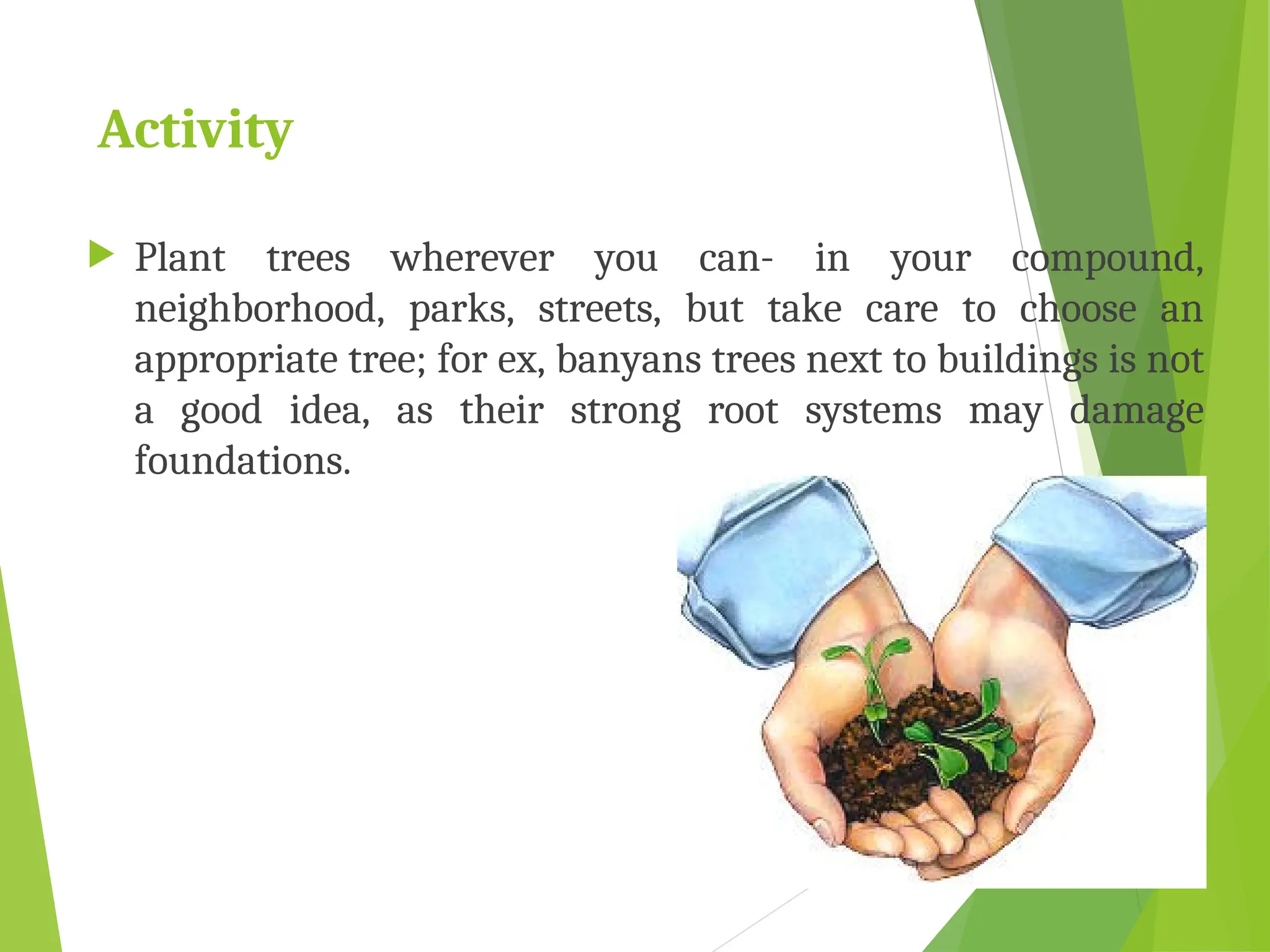 Activity
 Plant trees wherever you can- in your compound,
neighborhood, parks, streets, but take care to choose an
appropriate tree; for ex, banyans trees next to buildings is not
a good idea, as their strong root systems may damage
foundations.
 