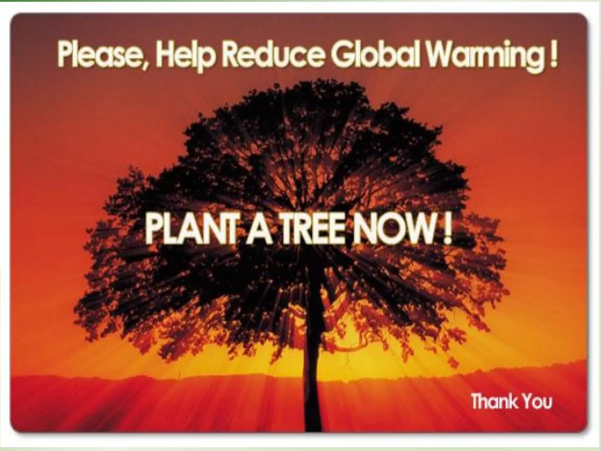 Natural_Resources-forest.ppt for Environmental science