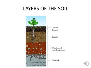 LAYERS OF THE SOIL
 