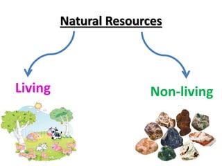 Natural Resources
Living Non-living
 