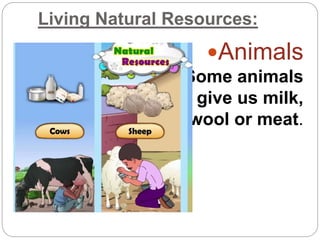 Natural resources2