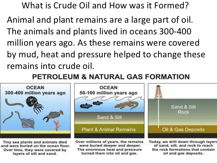 What Natural Resource Is Nylon Made From What Natural Resource Is Nylon Made From