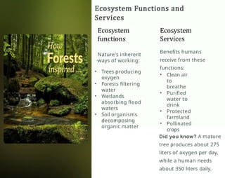 Comprehensive Overview of Natural Resources: Categories, Uses, and ...