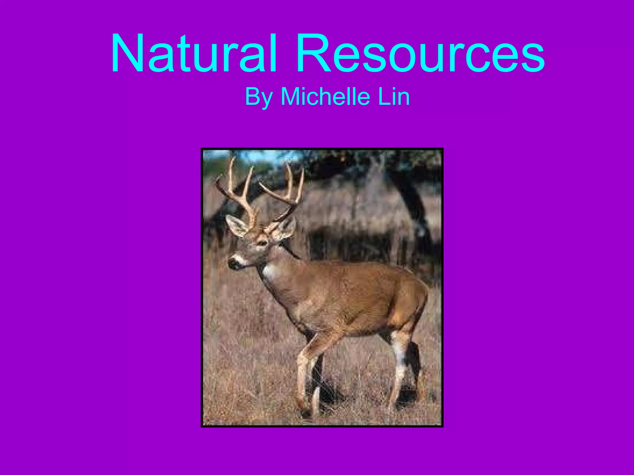 Natural Resources By Michelle Lin