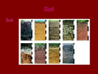 Soil Soil