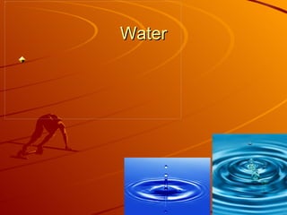 Water 