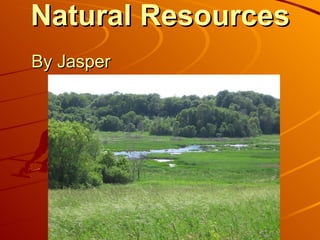 Natural Resources   By Jasper  