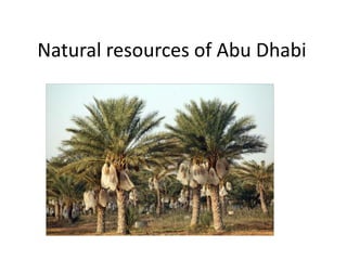 Natural resources of Abu Dhabi 