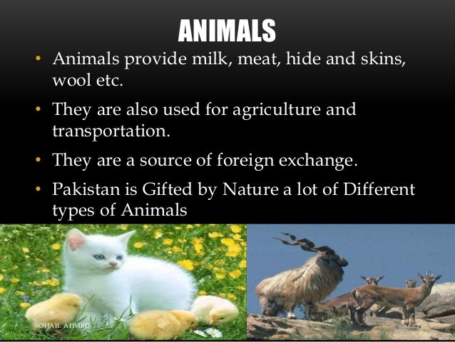 Natural resources of pakistan by Sohail Ahmed Solangi