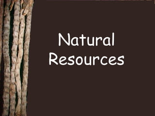 Natural 
Resources 
 
