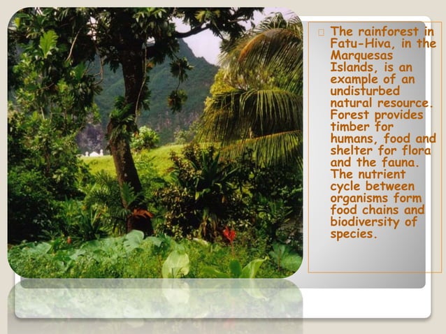 Natural resources ppt by piyush jain | PPTX