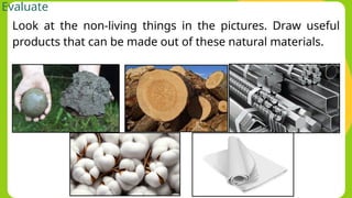 Natural Resources non living things presentation.pptx