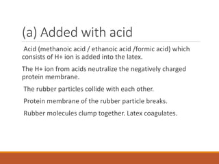(a) Added with acid
Acid (methanoic acid / ethanoic acid /formic acid) which
consists of H+ ion is added into the latex.
The H+ ion from acids neutralize the negatively charged
protein membrane.
The rubber particles collide with each other.
Protein membrane of the rubber particle breaks.
Rubber molecules clump together. Latex coagulates.
 