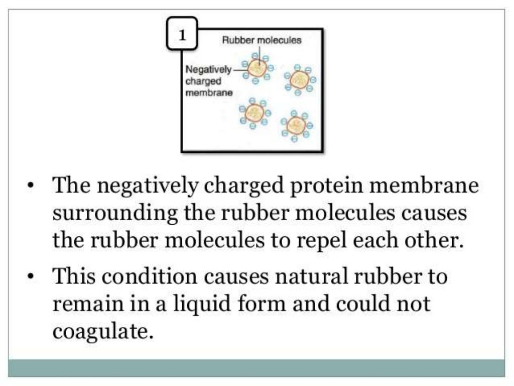 Natural rubber latex