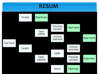 RESUM
 