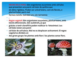REGNE DELS FONS: Són organismes eucariotes amb cèl·lules
que presenten una paret cel·lular de quitina que
els dóna rigidesa. Poden ser unicel·lulars, com els llevats, o
pluricel·lulars però mai
formen teixits. Gairebé tots són terrestres
.
Regne vegetal: Són organismes eucariotes, pluricel·lulars, amb
teixits diferenciats. Són autòtrofs, ja que
gràcies a tenir clorofil·la poden realitzar la fotosíntesi. Les
cèl·lules tenen una paret
cel·lular de cel·lulosa. Mai no es desplacen activament. El regne
vegetal es divideix en
dos grans grups: les plantes amb flors i les plantes sense flors.
 