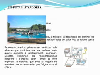 LES POTABILITZADORES
Fa que la aigua sigui apta per el consum
Aquest tractament inclou dos processos:
Processos físics: com la sedimentació, la filtració i la decantació per eliminar les
matèries orgàniques i les partícules responsables del color fosc de l’aigua sense
tractar.
-
Processos químics: primerament s’utilitzen sals
minerals que precipiten quan es combinen amb
alguns elements i, posteriorment, s’eliminen.
Després s’eliminen els microorganismes
patògens i s’afegeix color. També és molt
important la cloració, que evita la majoria de
malalties que es transmeten per l’aigua, com el
còlera.
 